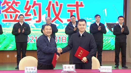 图片 5.png